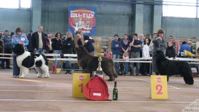 Фотография № 62002