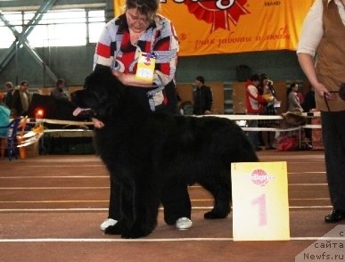 Фотография № 62015