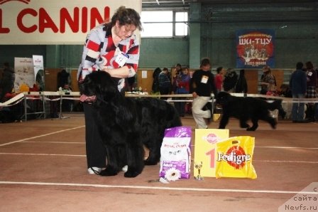 Фотография № 62019