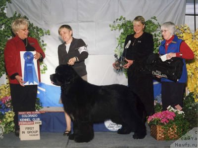 Фото: ньюфаундленд Good as Gold Anmalamual del Basaburua