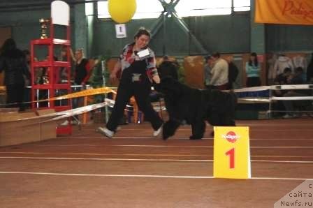 Фотография № 62029