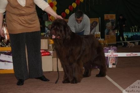 Фотография № 62061