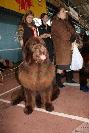 Фотография № 62062