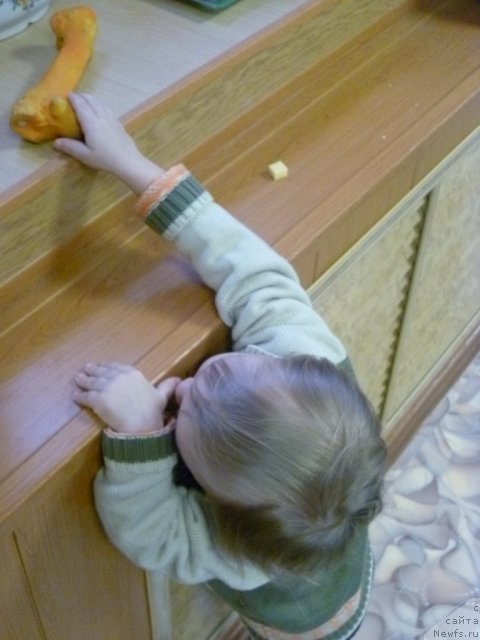 Фотография № 62078