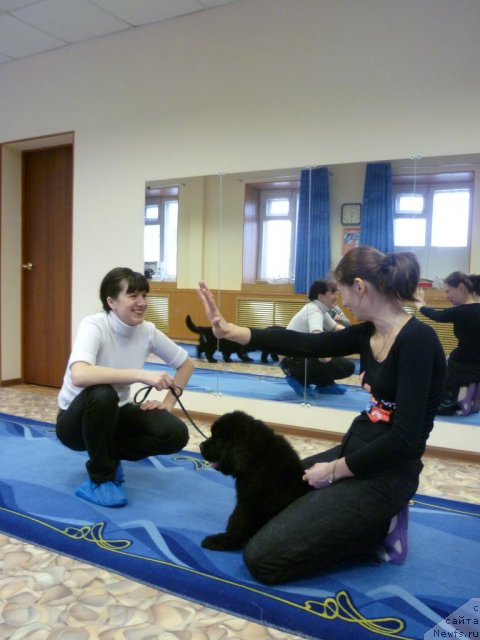 Фотография № 62082