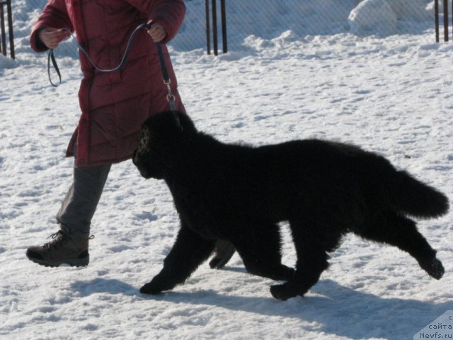 Фотография № 62088