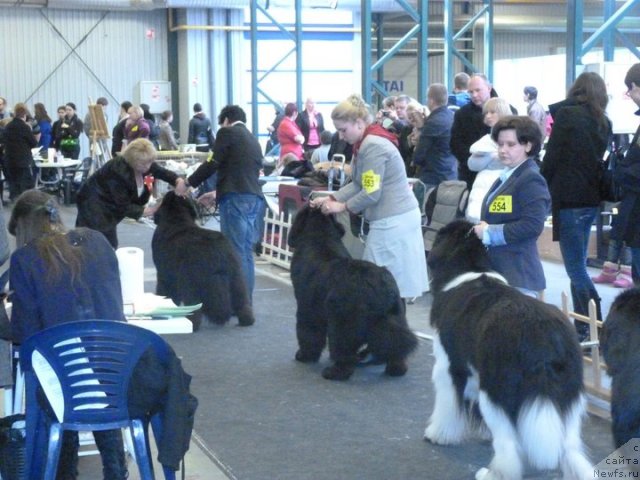 Фотография № 62111