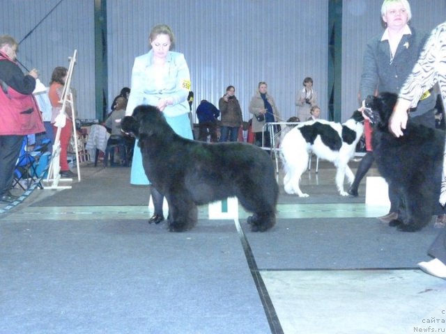 Фотография № 62113