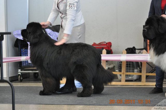 Фотография № 62115