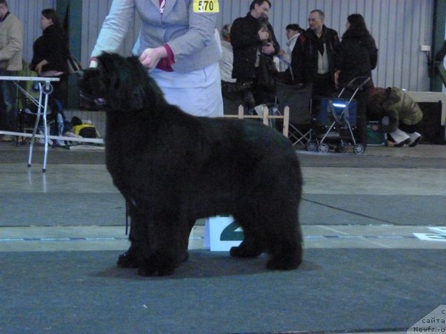 Фотография № 62116