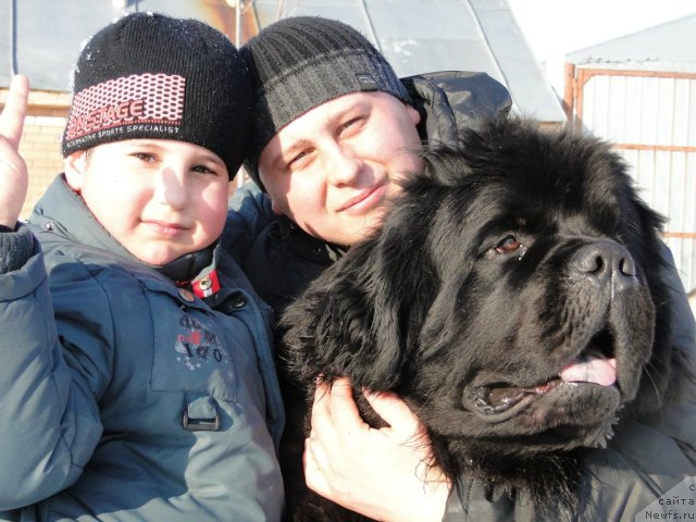 Фотография № 62185