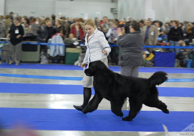 Фотография № 62231