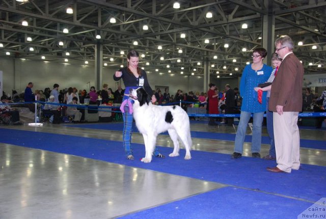 Фотография № 62243