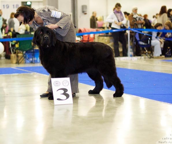 Фотография № 62250