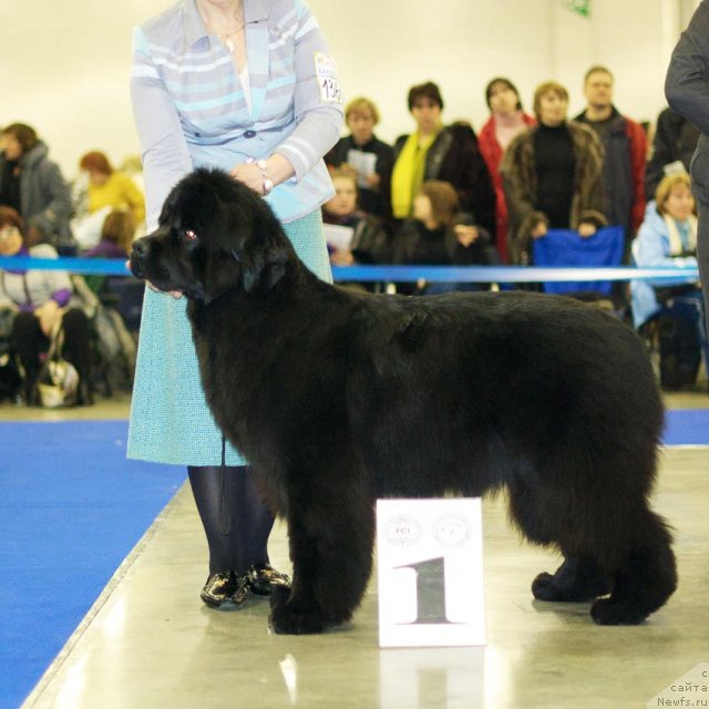 Фотография № 62251