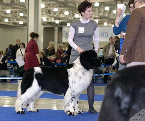 Фотография № 62253