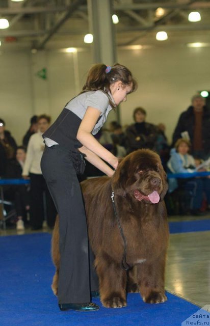 Фотография № 62255