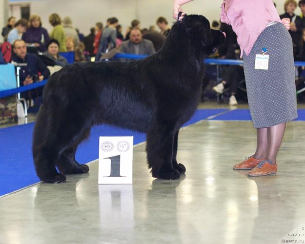 Фотография № 62256