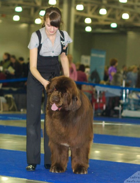 Фотография № 62259