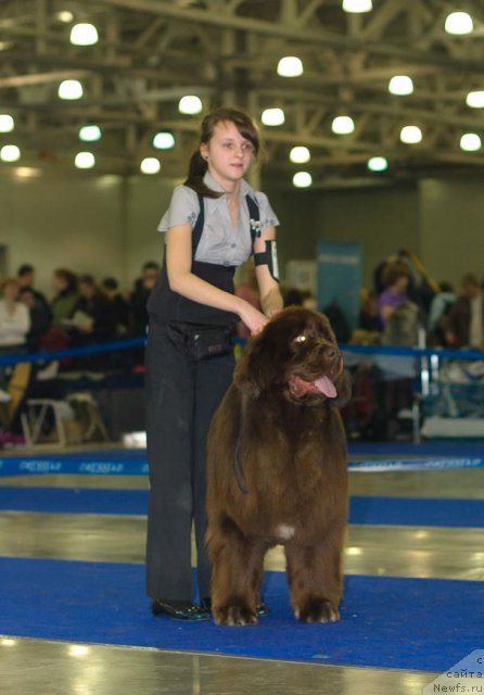 Фотография № 62260