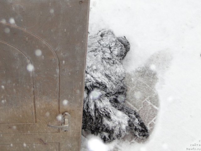 Фотография № 62263