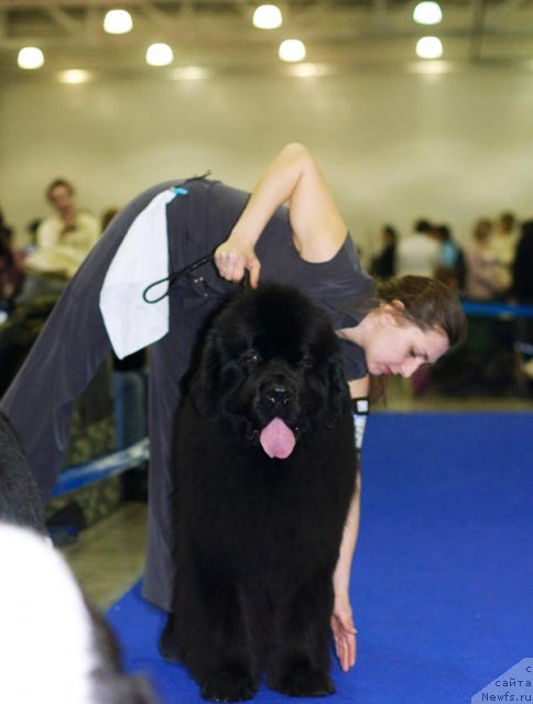 Фото: WOLIGORD LIFEGUARD IZ VOLOTOVA