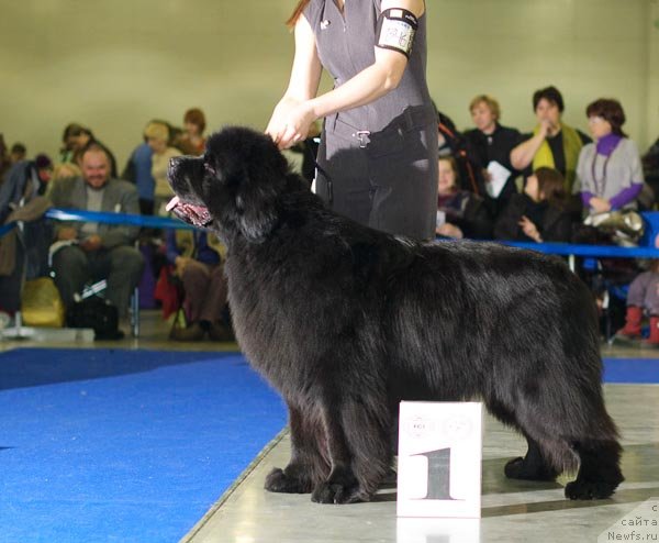 Фотография № 62266