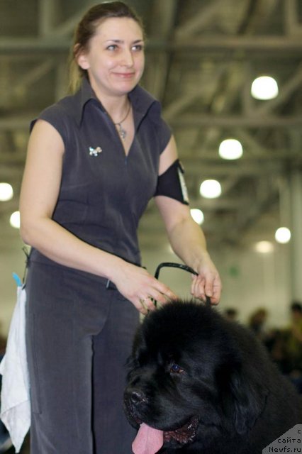 Фотография № 62268