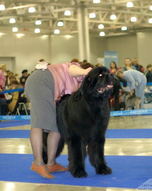 Фотография № 62269