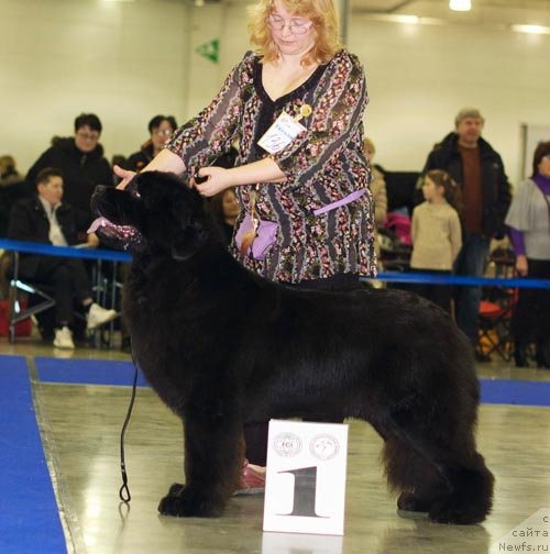 Фотография № 62275