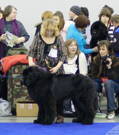 Фотография № 62278