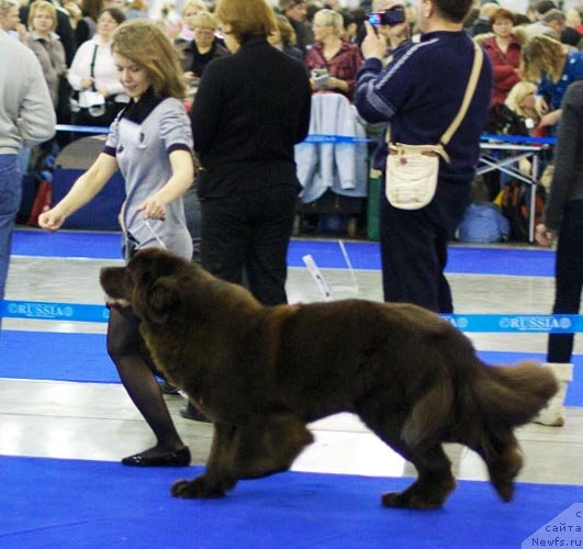 Фотография № 62280