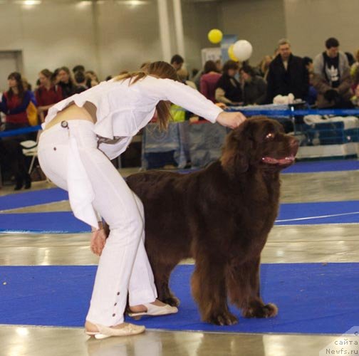 Фотография № 62281