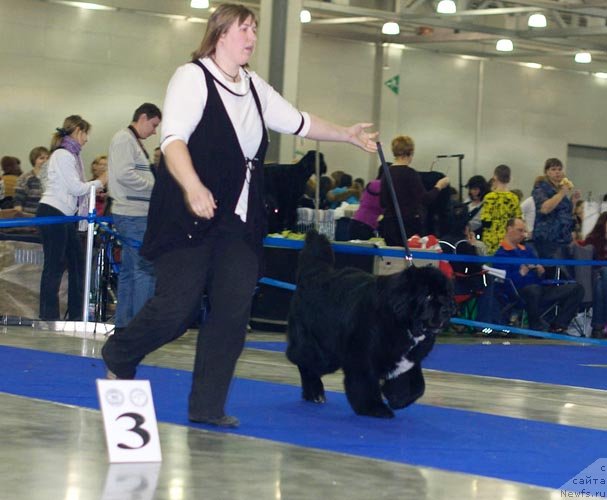 Фотография № 62284