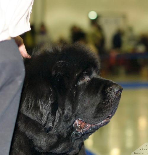 Фотография № 62286