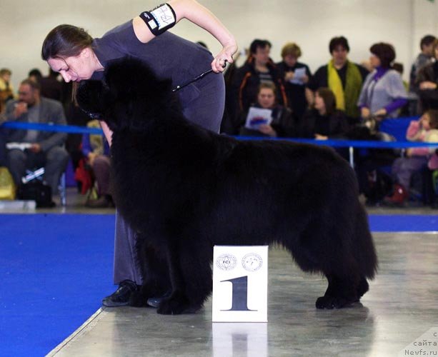 Фотография № 62289