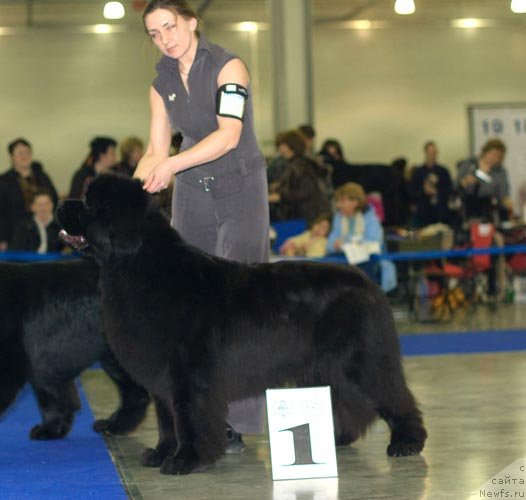 Фотография № 62290