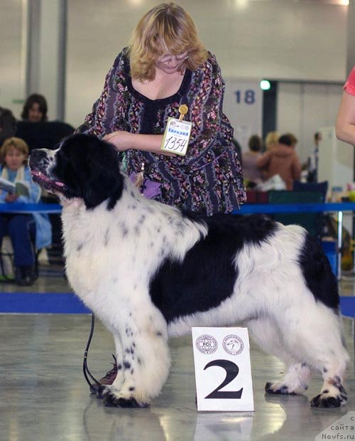 Фотография № 62295