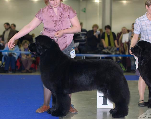 Фотография № 62306