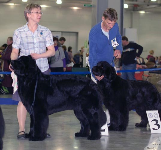 Фотография № 62307