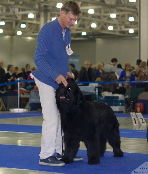 Фотография № 62309