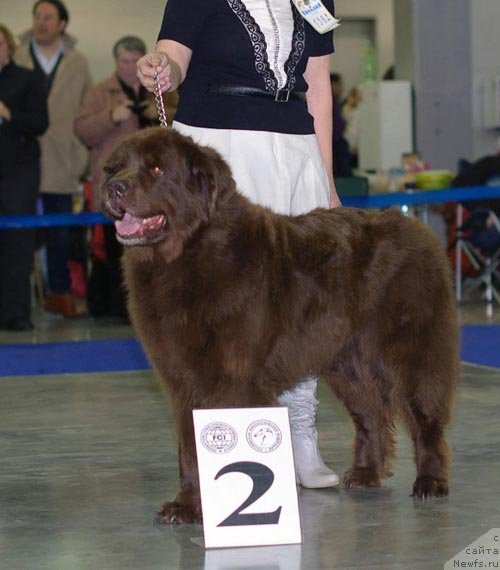 Фотография № 62311