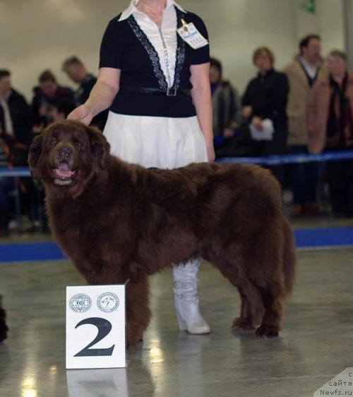 Фотография № 62312