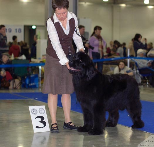 Фотография № 62314