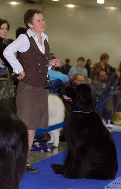 Фотография № 62315