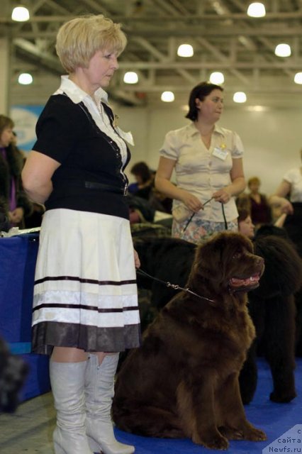 Фотография № 62316