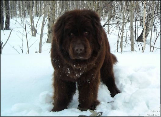 Фотография № 62320