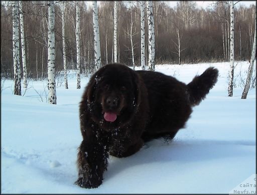 Фотография № 62323