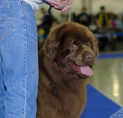 Фотография № 62326