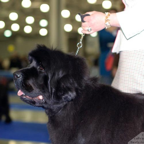 Фотография № 62328